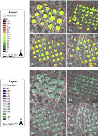 A methodology based on GEOBIA and WorldView-3 imagery to derive vegetation indices at tree crown detail in olive orchards