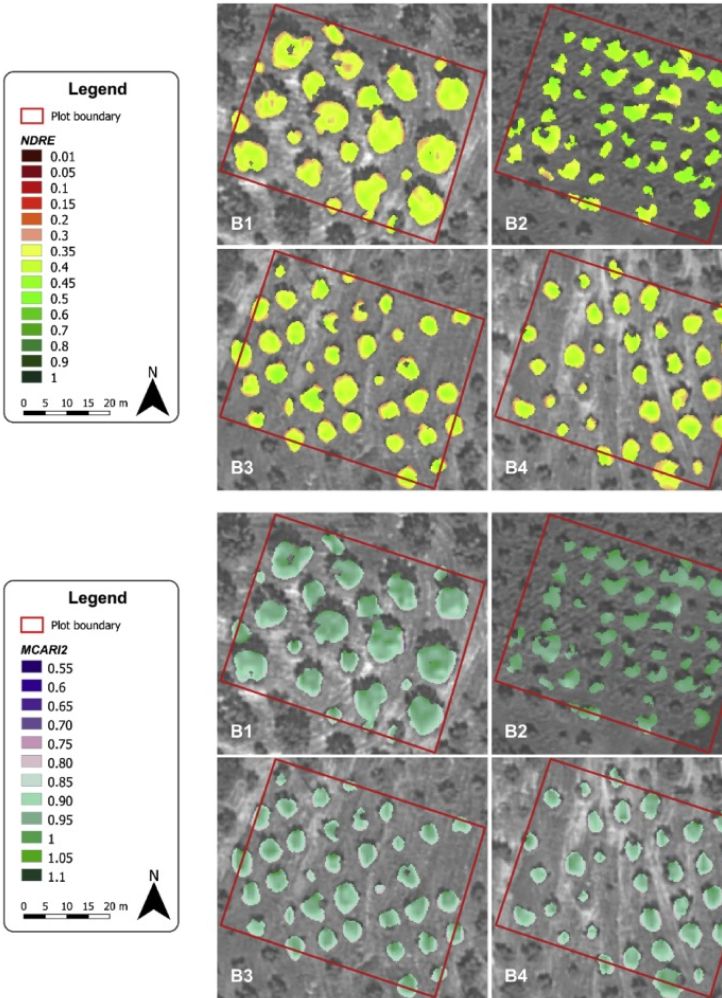 A methodology based on GEOBIA and WorldView-3 imagery to derive vegetation indices at tree crown detail in olive orchards